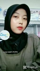 Ion Massager Setrika Wajah / Vibration Iontophoresis Instrument