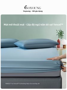 shui yang | Bọc Nệm Lụa Mát Lạnh