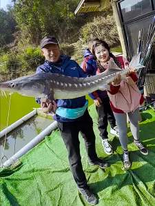 woding | Ultra-light Hard All-around Fish Rod
