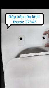 Nắp bồn cầu rơi êm thông minh hai khối.Phù hợp với nap bon cau inax 504 mới702909s320s325