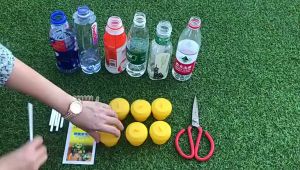 Fly catcher Perangkap Lalat Buah Fruit Fly Trap Ubat Attractant Feromone / all small bottle can use for this bottle Fruit fly trap Plastic Geel Drosophila Val fly Catcher trap with hijab Bee trap with needle Lure for medicine