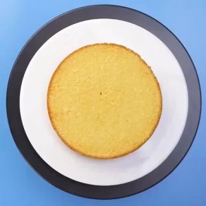 6PCS Non-Slip Rotatable Cake Turntable Kit11inch Cake Stand Decorating and Baking Tools SetAffordable Cake Decorating Supplies