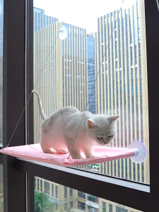 Pet Nest Cat Hammock Window Sill Glass Hanging Foldable Cat Nest Suction Cup Bed