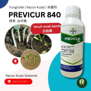 Bayer PREVICUR 840 (1L) Racun Kulat Lecuh Anak Benih Busuk Buah Kulapuk Downy Buah Busuk Mati Benih Fungicide Downy Mildew Rotten Fruit 立枯病 烂果 霜霉病 死树