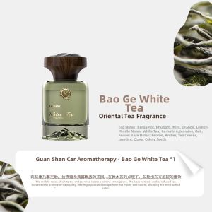 KVS | Long-lasting Deodorizing Car Fragrance