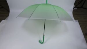 Automatic Transparent Gradient Umbrella 8-Ribs UV Protection Parasol / Payung Duo Warna
