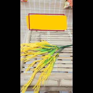 [SET 5 LY] - THIEN HUONG FOOD - Mì ly Life Cup hương vị Lẩu thái Mì ly lẩu thái Life Cup Mì lẩu thái Life Cup ly (60g/ly)