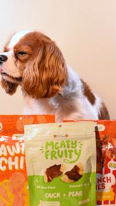 Petsup Dog Treats Real Meat & Vegetable Jerky Chewy Crunchy High Protein Training Reward Snack Chicken Duck Fruit Vegetable Sweet Potato Treats for Dogs