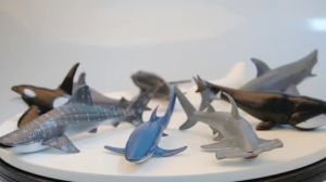 Simulation Marine Sea Life Whale Figurines Shark Cachalot Action Figures Ocean Animal Model Dolphin Hammerhead Educational Toys