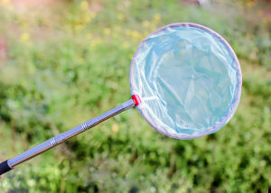 Ultra-Light Expandable Stainless Steel Fishing Net for Kids Butterfly Frog Lobster Catching Net Outdoor Camping Travel Gear