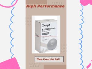 Alph Performance 75cm Excercise Ball Silver Bola Olahraga Termasuk Pompa Injak Warna Abu Grey Bola Fitness Bola Untuk Olahraga