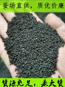 Silkworm Pillow Bulk Silkworm Excrement Soothing the Nerves and Helping Sleep Adult Neck Pillow Kids Natural Fresh Mulberry Silk Cloth Pillow Baby Pillow