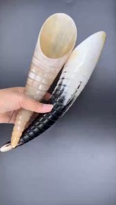 Ống Gió Sừng Cạo Gió - Dụng Cụ Diện Chẩn