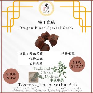 50gr Herbal Te Ding Xue Jie 特丁血竭 Dragons Blood Daemonorops Draco No 1