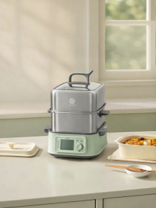 Buydeem | Multi-function Stainless Steel Electric Steamer