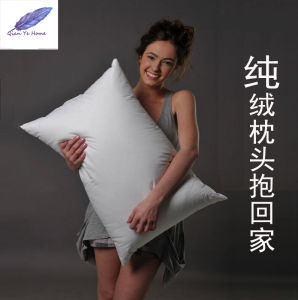 Export Five-Star Hotel 100 95% Large Hanging White Goose down down Feather Pillows Pillow Interior Single Pillow
