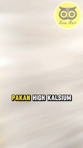 KICAU MART Pakan High Kalsium Tepung Sotong 35 Gram Cuttlebone Cuttle Bone For Birds Pakan Makanan Burung Lovebird Parrot Budgies Reptil Kura-Kura Siput