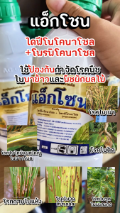 แอ็กโซน (ไดฟีโคนาโซล+โพรพิโคนาโซล) ใช้ป้องกันกําจัดโรคพืช โรคแอนแทรคโนส โรคใบไหม้ (สารตัวเดียวกับ #อามูเร่ )