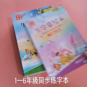 1~6年级生字练字帖 语文同步练字帖 生字摹写本 华文练字帖 识字大王 识字描红本
