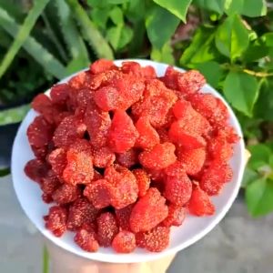 Buy 1 get 1 Dried strawberry bags dried fruits preserved fruits whole pregnant womans health snack