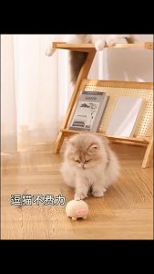 Đồ chơi mèo bướm quay tự động hình heo dudu (mẫu mới) - Hara Pet Store