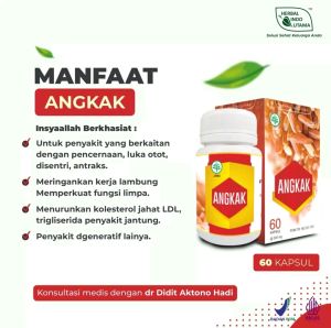 Kapsul Angkak HIU Original Mengatasi Lemak Darah Kolesterol Jahat dan Meningkatkan Trombosit Isi 60