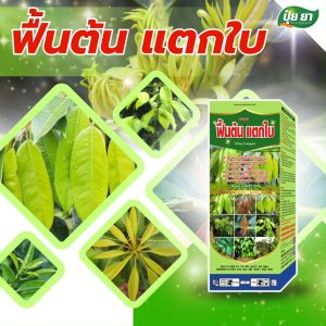 เร่งแตกใบ แตกกิ่ง ป้องกันต้นโทรม ฟื้นต้น บำรุงต้น ฮอร์โมนพืช อาหารเสริมสำหรับพืช ปุ๋ยยา 250 ซีซี