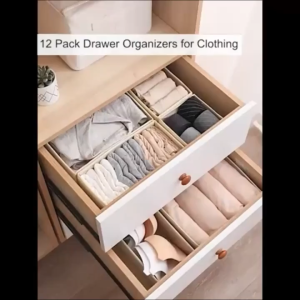 3/6Pcs Underwear Organizer Socks Bra & Underwear Drawer Organizer Foldable Panty  Wardrobe Foldable Storage Box Case