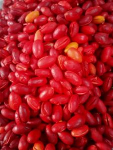 Kulit Melinjo Presh/ Kulit Tangkil Segar 1Kg / Kulit Melinjo Sayur (promo)