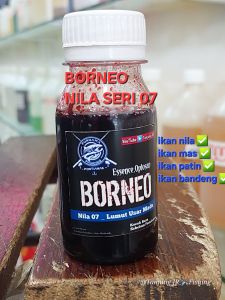 Oplosan Nila 07  LUMUT USAR MADU