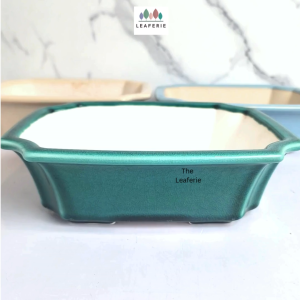 The Leaferie Bonsai Tally (Series 11) Rectangular plant pots flowerpot rectangle flower pot planter planters