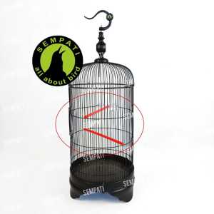 RED STRAT BIRD SHOP TANGKRINGAN LOVEBIRD VIRAL PLASTIK MOTIF SANGKAR KANDANG BURUNG LOVE BIRD KAPSUL