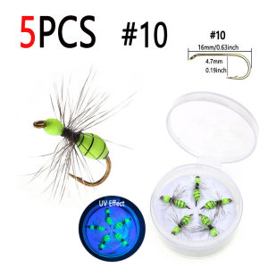 Bimoo 5PCS/Box #10~#16 Grizzly Hackle Epoxy Ant Fly Fluorescent Nymphs Dry Fly Terrestrial Fly For Trout Grayling Fishing Lures