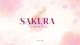Hello sakura