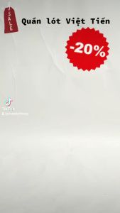 Quần lót nam cao cấp Việt Tiến