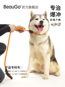 เบอูโก้ เรือดนำสุนัขแบบที่มีสายพานและเชือก สายเดี่ยวสำหรับเลี้ยงสุนัขขนาดใหญ่และเล็ก เรือดนำสุนัขแบบที่ไม่ต้องยืดหยุ่น