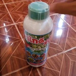 มิตรผิวหนักดีมีตัง อะมิโนพืช ฮอร์โมนพืช เพิ่มผลผลิต เพิ่มรสชาด