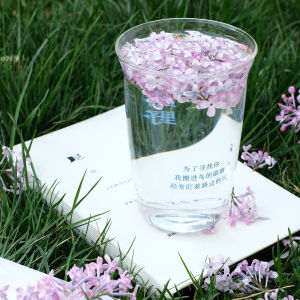 Exclusive Design Vintage Artistic Ins Glass Cup Movie Picnic Roadside Birthday High Aesthetic Value French Style Dining Utensils