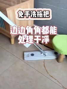 EUNICE Squeeze Mop Heavy DutyMop Hands Free Self-Wringing Microfiber Pads Flat Cleaning Mop Mop Lantai 拖把