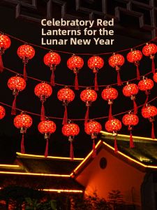 PAIMIJI | New Year Outdoor Festive Decoration Lanterns
