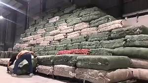 Senior Quần Short Thể Thao Cotton Mặc Thường Ngày Mùa Hè 2022 Quần Thể Dục Yoga Dáng Gầy Dáng Rộng Mẫu Mới Cho Nữ Một Chiếc