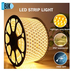 BIK Led Lights Strip Light Cuttable Rope Outdoor IP65 Waterproof String Light Decoration for Room Connector 2pin Bedroom