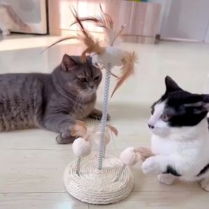 Đồ chơi cho mèo FOFOS Cây lông vũ kết hợp Bàn cào móng Chứa catnip cho mèo Bàn cào móng dây thừng sisal an toàn