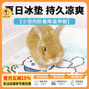 Cooling Rabbit Ice Pad Summer Cooling Tool Guinea Pig Pig Ice House Foot Mat Cooling Mat Summer Supplies for Pets