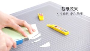 Lưỡi dao rọc giấy 30 độ Deli Bạc 10 chiếc lưỡi/hộp - E2015/ DP093A