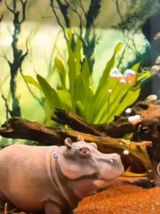 Pneumatic Hippopotamus Fish Model Fish Tank Micro Landscape Ornaments Aquarium Resin Decor