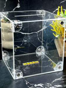 Transparent Saving Bank Box Openable Design for Boys And Girls Adult Family Children Plastic Creative Gift Festival Supplies