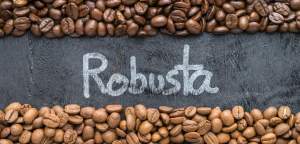 Cafe Robusta nguyên chất Ban Mê Thuột gói 500g