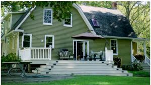 Shampoo Kucing Anjing Shampo Kutu Jamur Anti Bacterial Anti Tick Flea Fungal Wangi Tahan Lama Lembut Murah