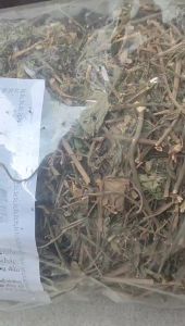 Một kg cây lá lốt khô và Công dụng tuyệt vời của lá lốt cho sức khỏe